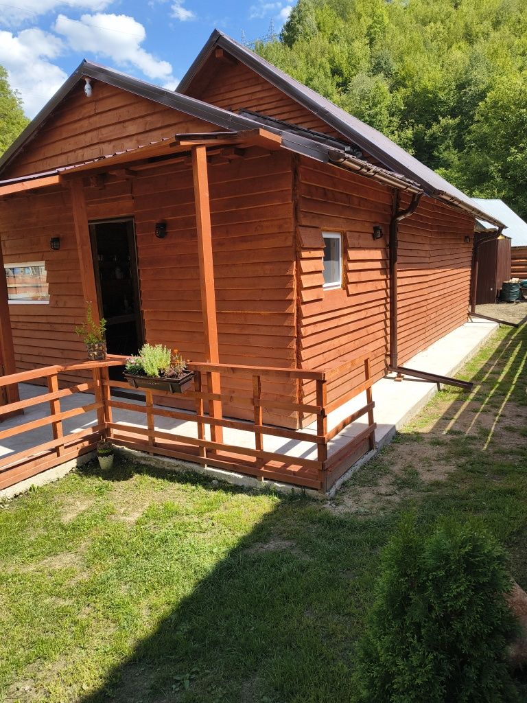 Vând/ Schimb cu garsoniera , Cabana la Munte Cluj-Napoca